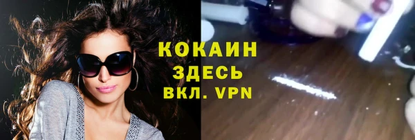 гашик Михайловка
