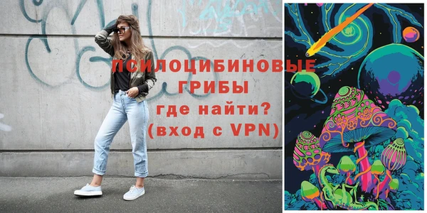 соль ск Михайлов