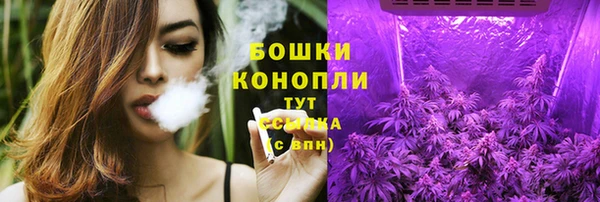 гашик Михайловка