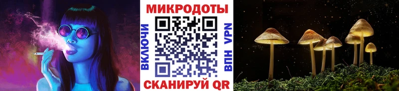 где купить   Томск  Псилоцибиновые грибы Magic Shrooms 