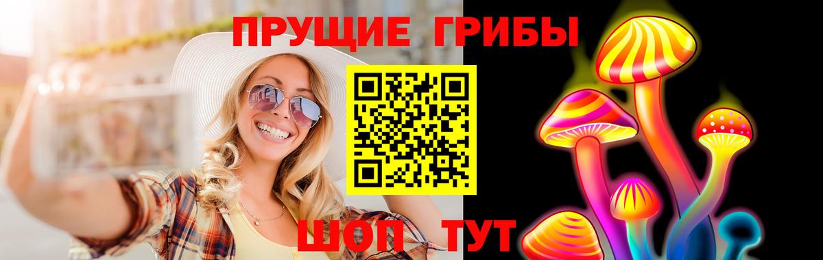 Томск  Галлюциногенные грибы Cubensis  Вход с VPN 